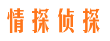 南陵情探私家侦探公司